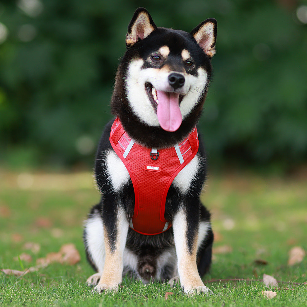 Dog harness dog rope dog chain dog walking medium large dog golden retriever vest style large dog leash